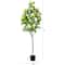 6ft. Potted Flowering Citrus Tree with Real Touch Leaves